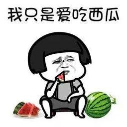 娱乐圈吃瓜表情,笑料百出，明星们的“表情包”大战