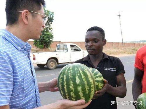 吃瓜大会是什么意思,网络热词背后的文化现象