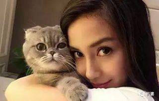 娱乐圈吃瓜猫咪是谁呀,揭秘网络红星的幕后推手