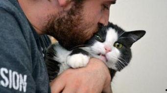 吃瓜娱乐的喵哥是谁呀