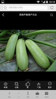 娱乐吃瓜酱属于什么,揭秘娱乐圈幕后故事与热点事件